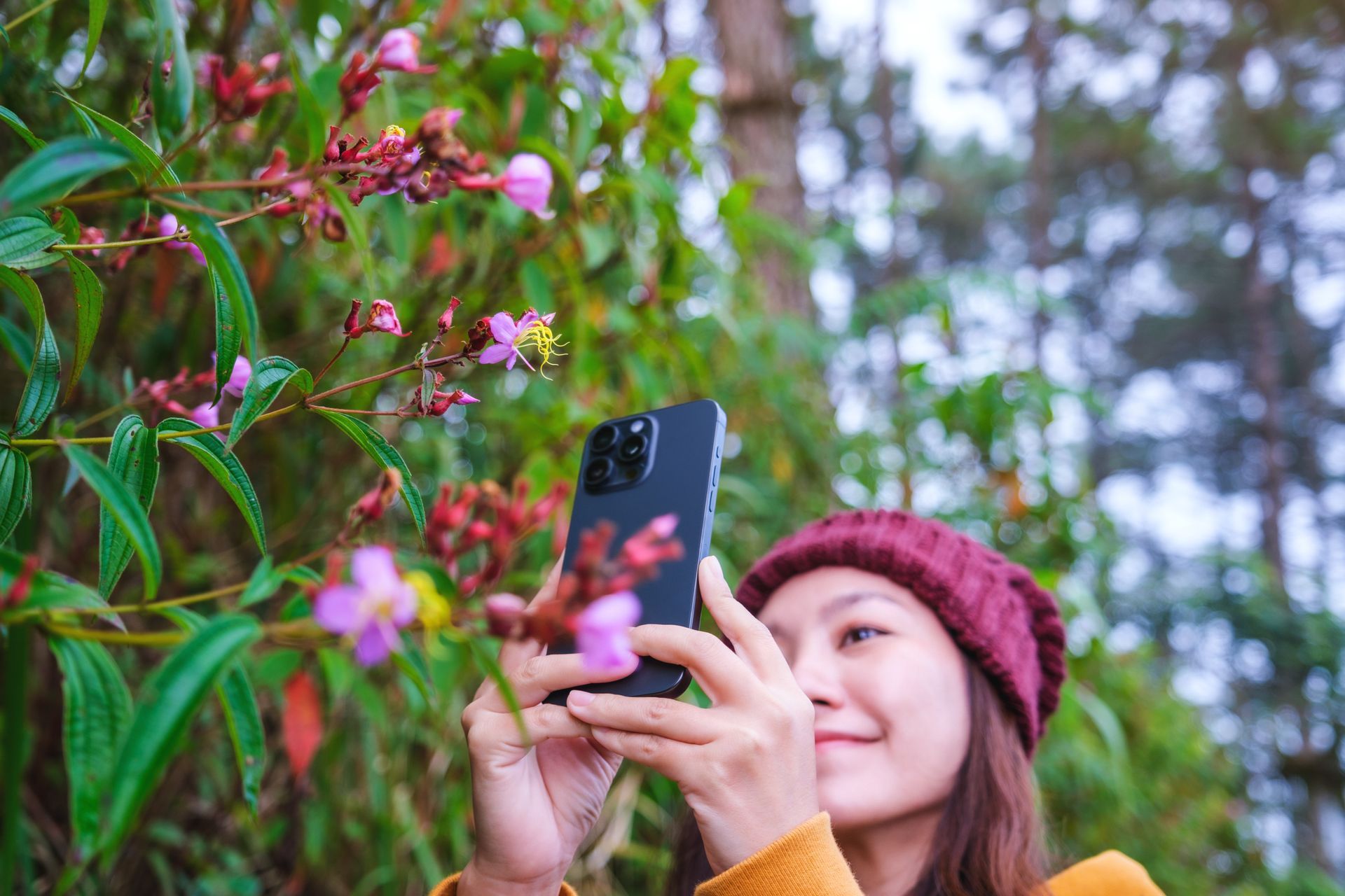 Woman in a maroon beanie photographing pink flowers outdoors with a smartphone