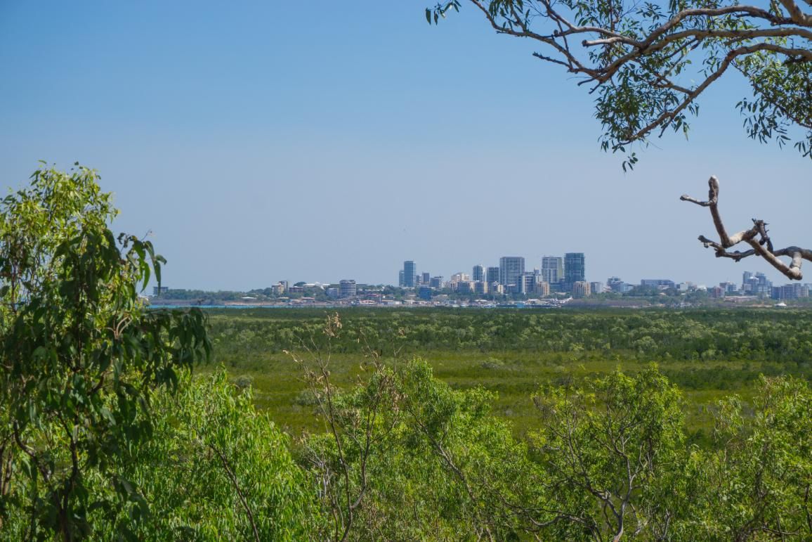 A City Skyline is Visible Through the Trees in the Foreground — The Cool Guys In Berrimah, NT