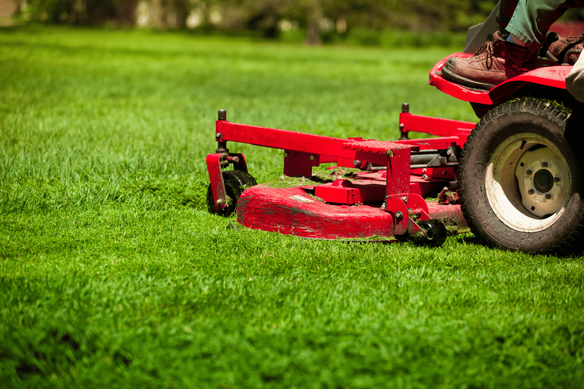 A man is riding a red lawn mower on a lush green lawn.