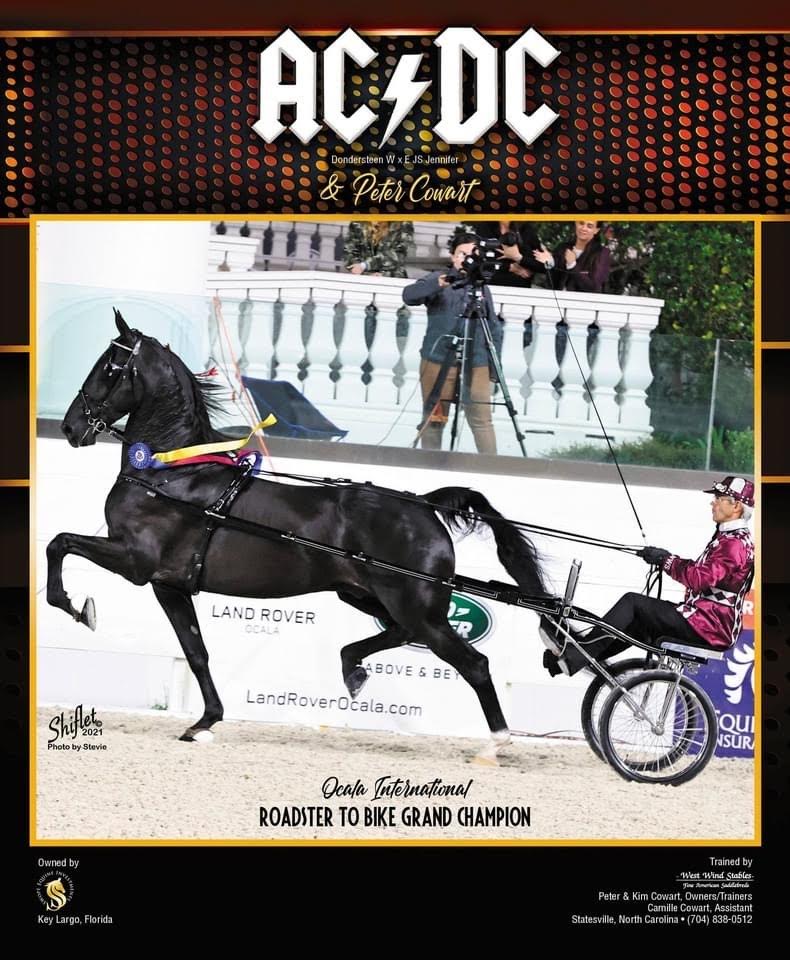 photo of West Wind trainer Peter Cowart driving Roadster horse, AC/DC