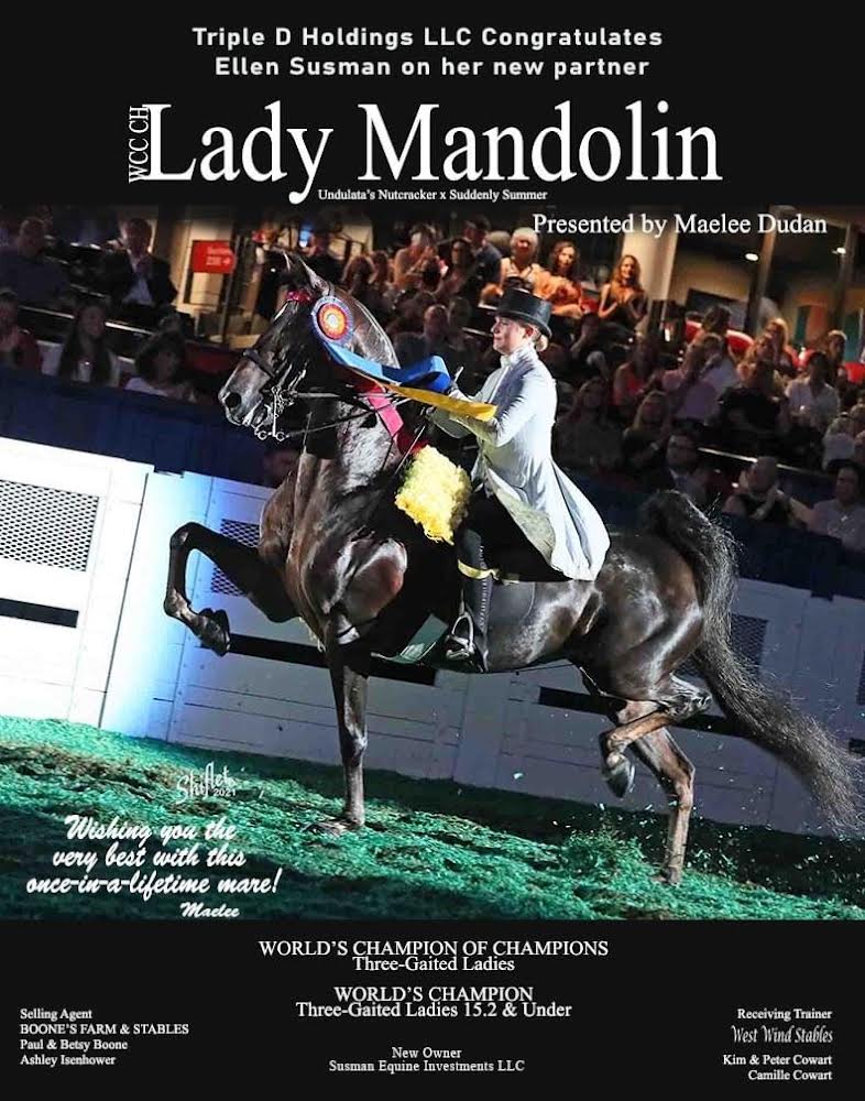 photo of WGC Lady Mandolin, Three-Gaited Ladies World's Champion of Champions