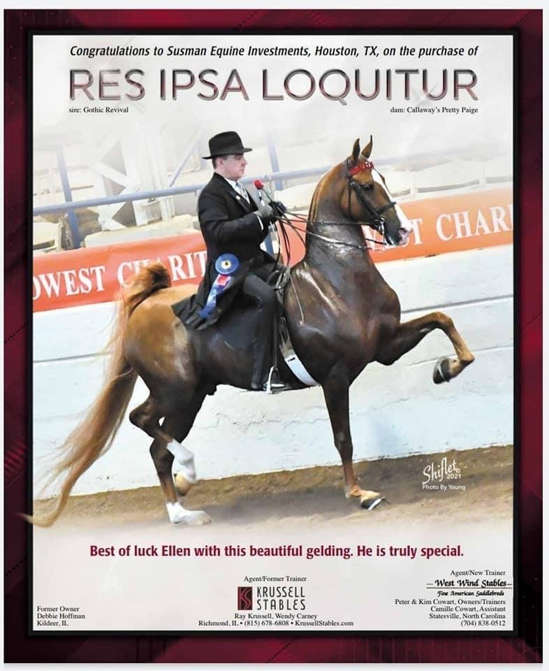 photo of American Saddlebred horse, RES IPSA Loquitor, making victory pass
