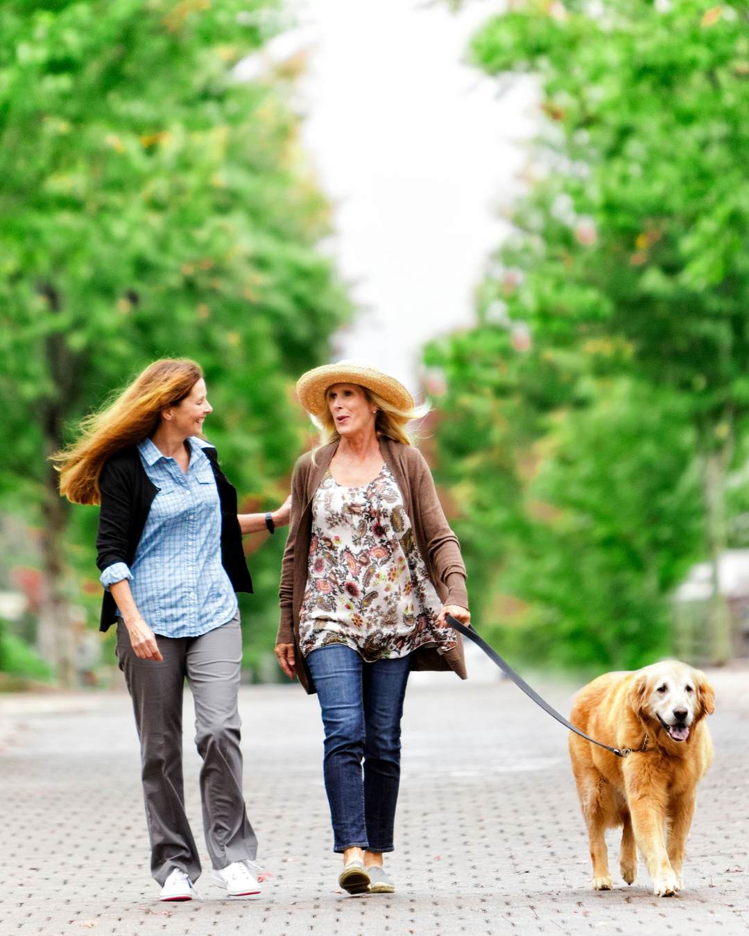 Two women are walking a dog on a leash.