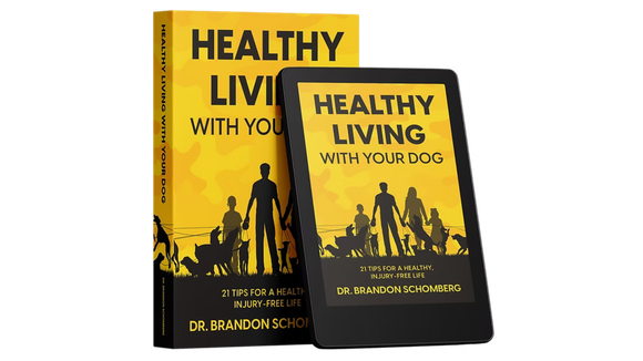 healthy living with you dog