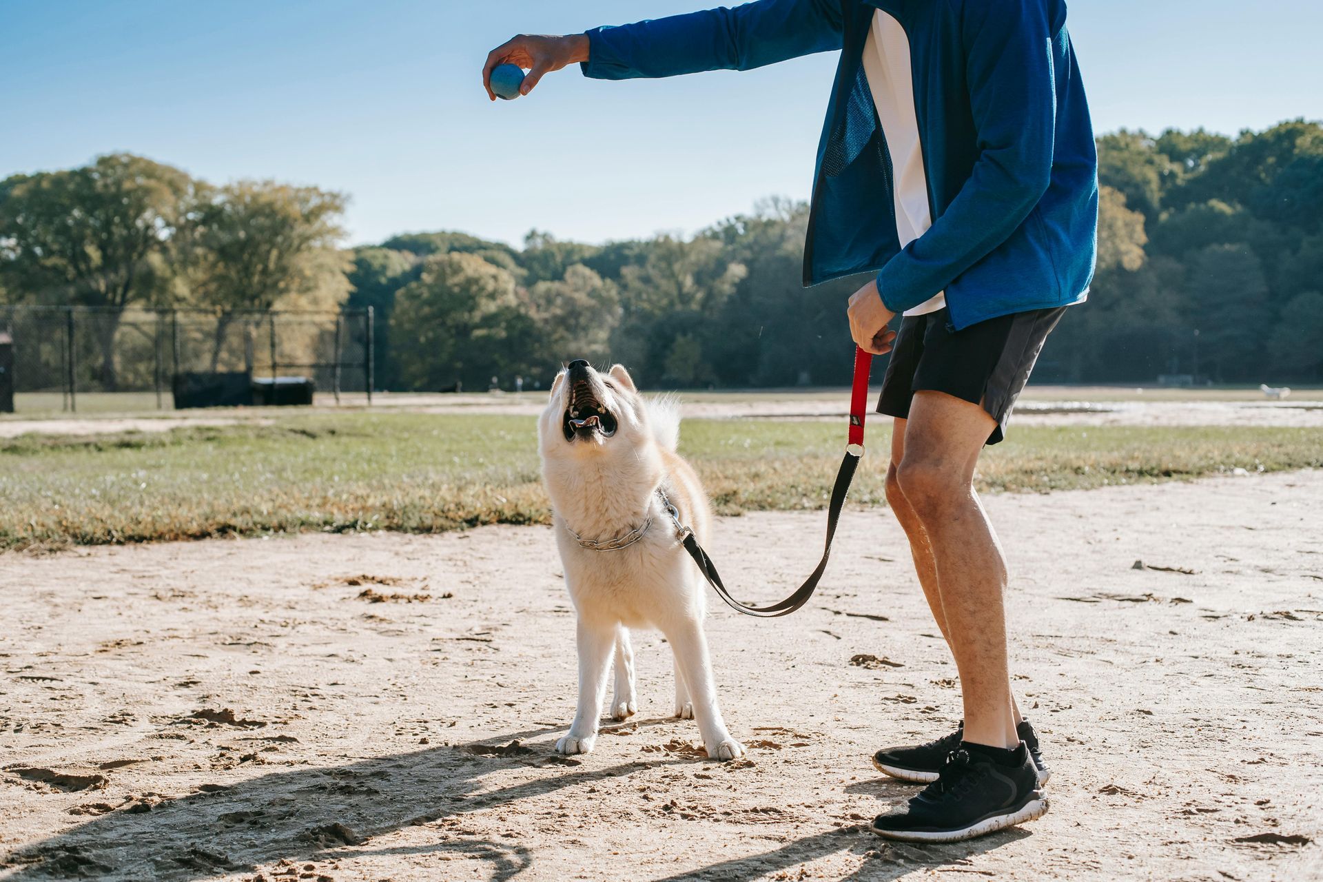 exercise partner
