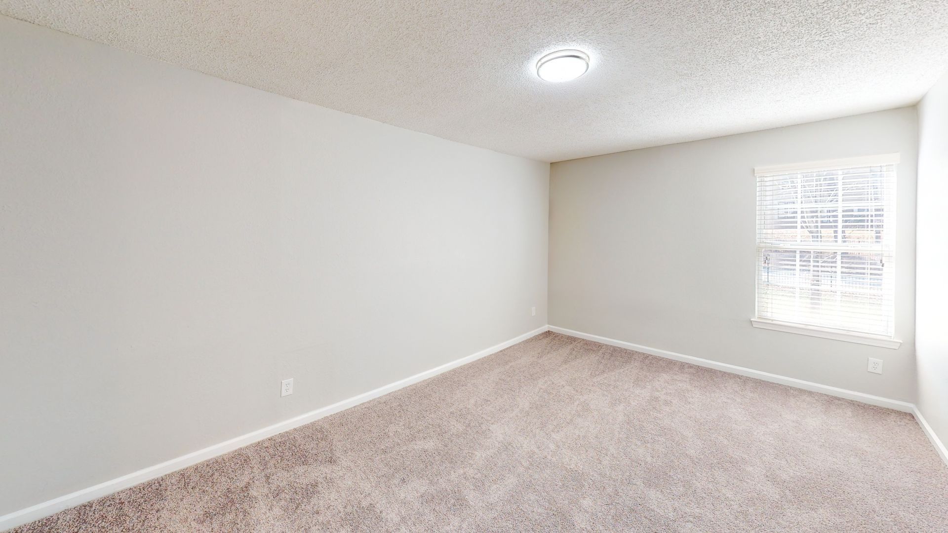 Empty light-gray bedroom with carpet and a window with white blinds