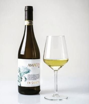 vino bianco igt