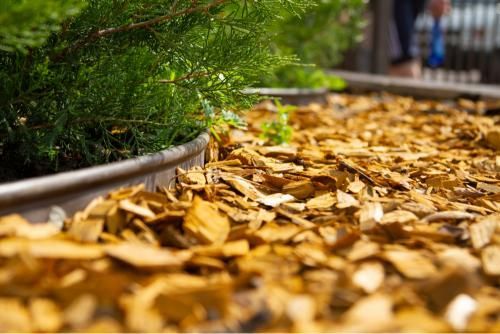 A Pile of Wood Chips on the Ground Next to a Plant — Andrew Johnston Haulage In Byron Bay, NSW