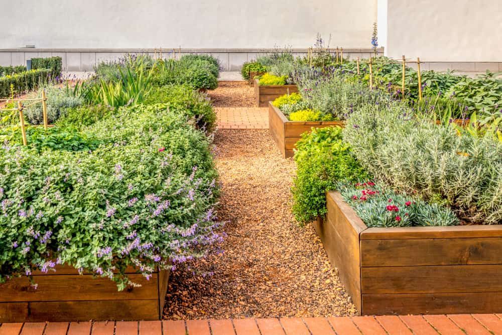 A Garden Filled With Lots of Plants and Flowers — Andrew Johnston Haulage In Bangalow, NSW