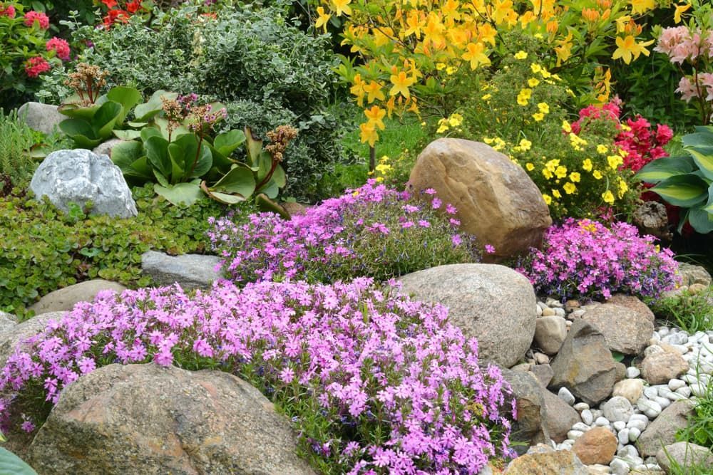 A Rock Garden Filled With Pink And Yellow Flowers — Andrew Johnston Haulage In Grafton, NSW