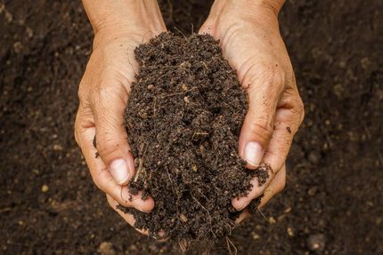 A Person is Holding a Pile of Dirt in Their Hands — Andrew Johnston Haulage In Ewingsdale, NSW