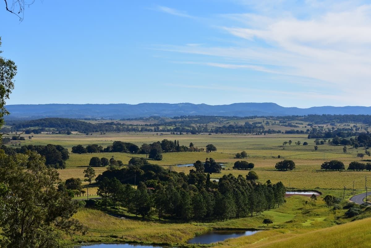 A View of a Lush Green Field With Trees and Mountains in the Background — Andrew Johnston Haulage In Casino, NSW