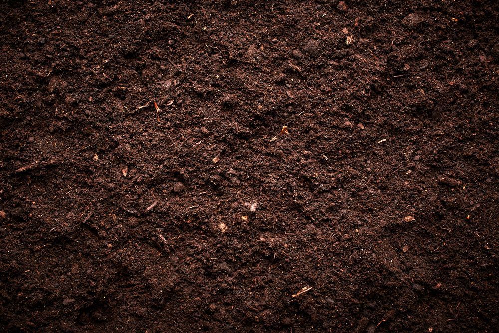 A Close Up of a Pile of Brown Soil — Andrew Johnston Haulage In Ewingsdale, NSW