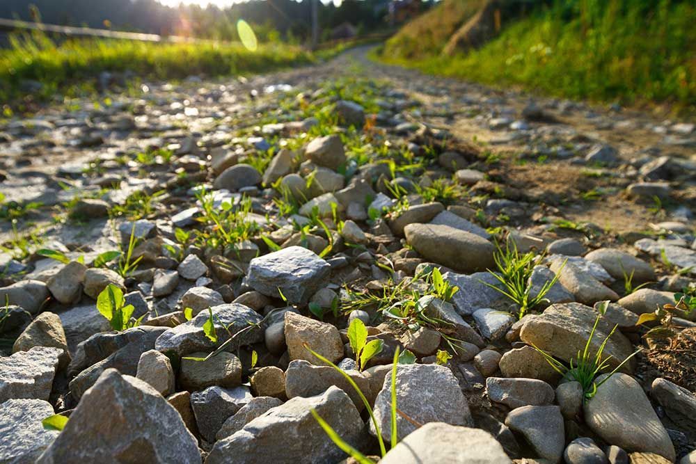 A Gravel Road With Grass Growing Out Of The Rocks — Andrew Johnston Haulage In Grafton, NSW
