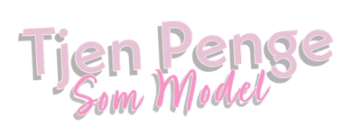 Tjenpengesommodel.dk logo