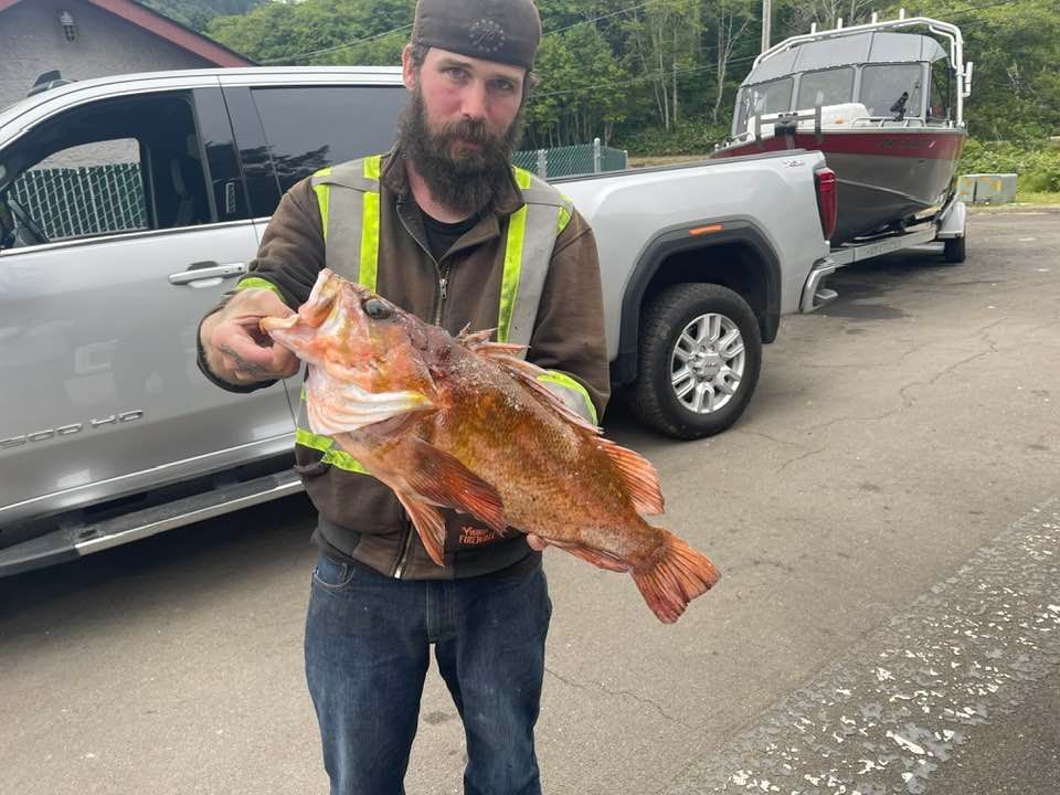 LINGCOD