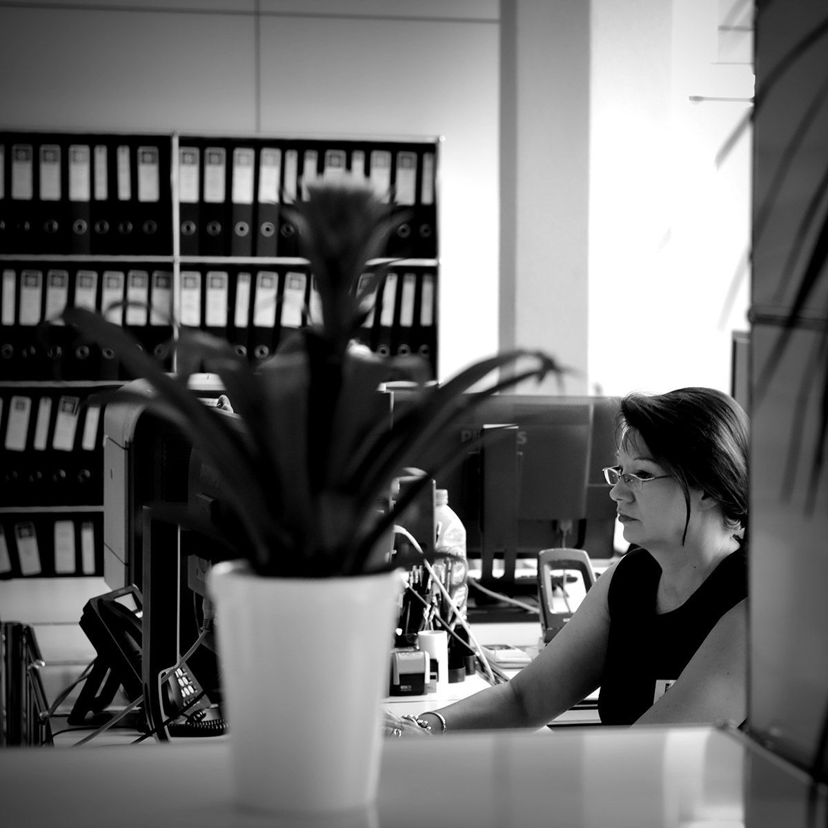 Femme assise à un bureau, une plante au premier plan, décor de bureau, dossiers sur une étagère en arrière-plan.