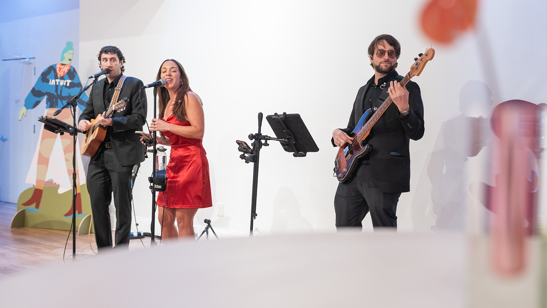 Live Entertainment and Bands