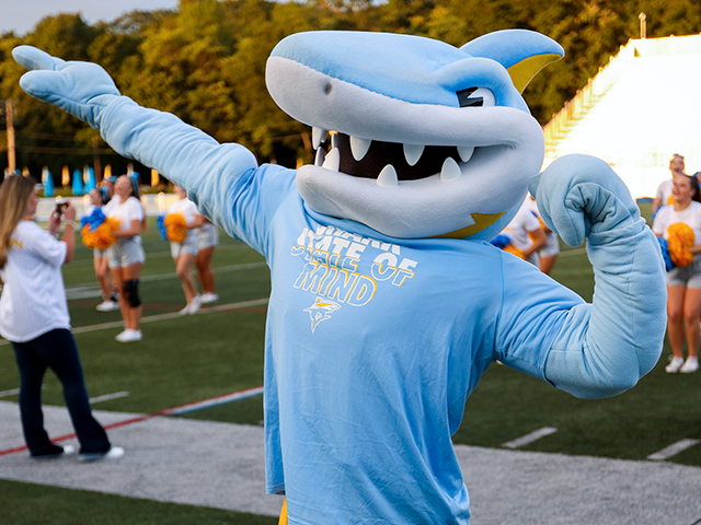 LIU Mascot Finley