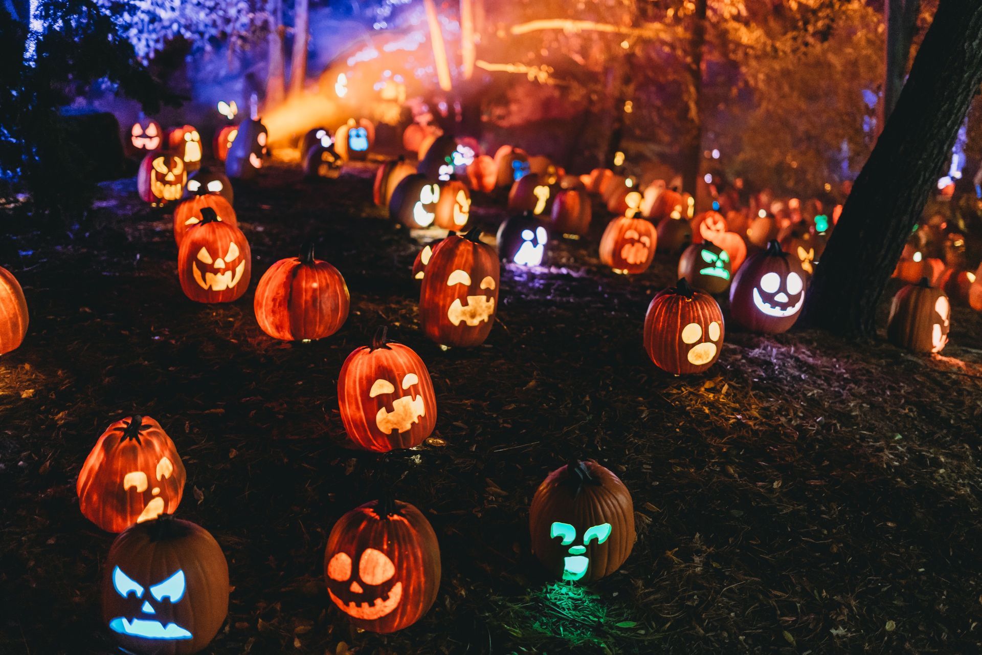 Fall Events on Long Island 2026: The Ultimate Guide