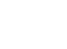 Blank white image