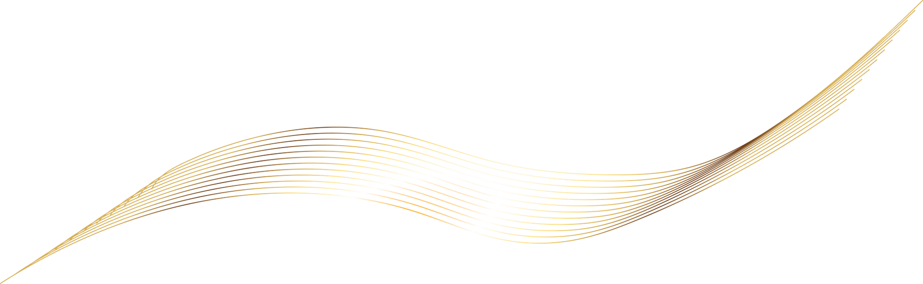 Abstract gold wave lines on a white background