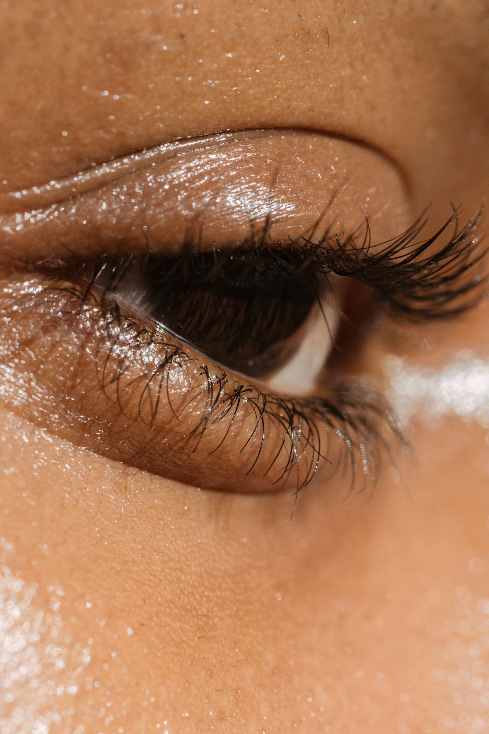 Close-up of brown eye with long lashes, looking right. Skin is dark and glistening.