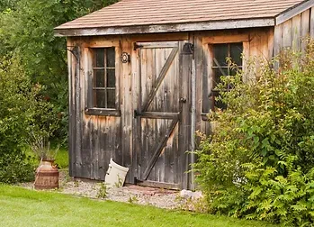 Wooden shed with weathered gray siding, door, windows, and angled support brace, surrounded by green foliage.