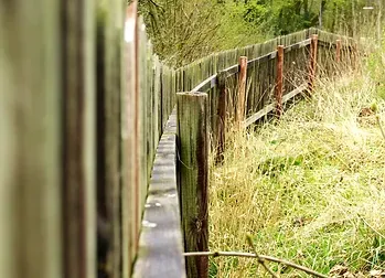Wooden fence along a grassy area, sunlight, close-up perspective.