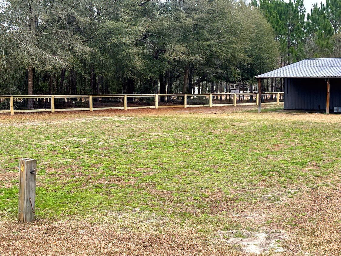 Grassy paddock bordered by a wooden fence and trees, with a small blue shed on the right.