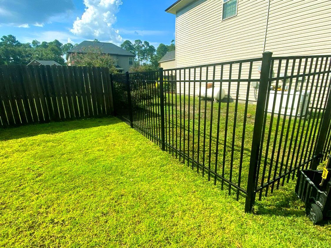 Backyard with bright green grass, black metal fence, and beige house in sunlight