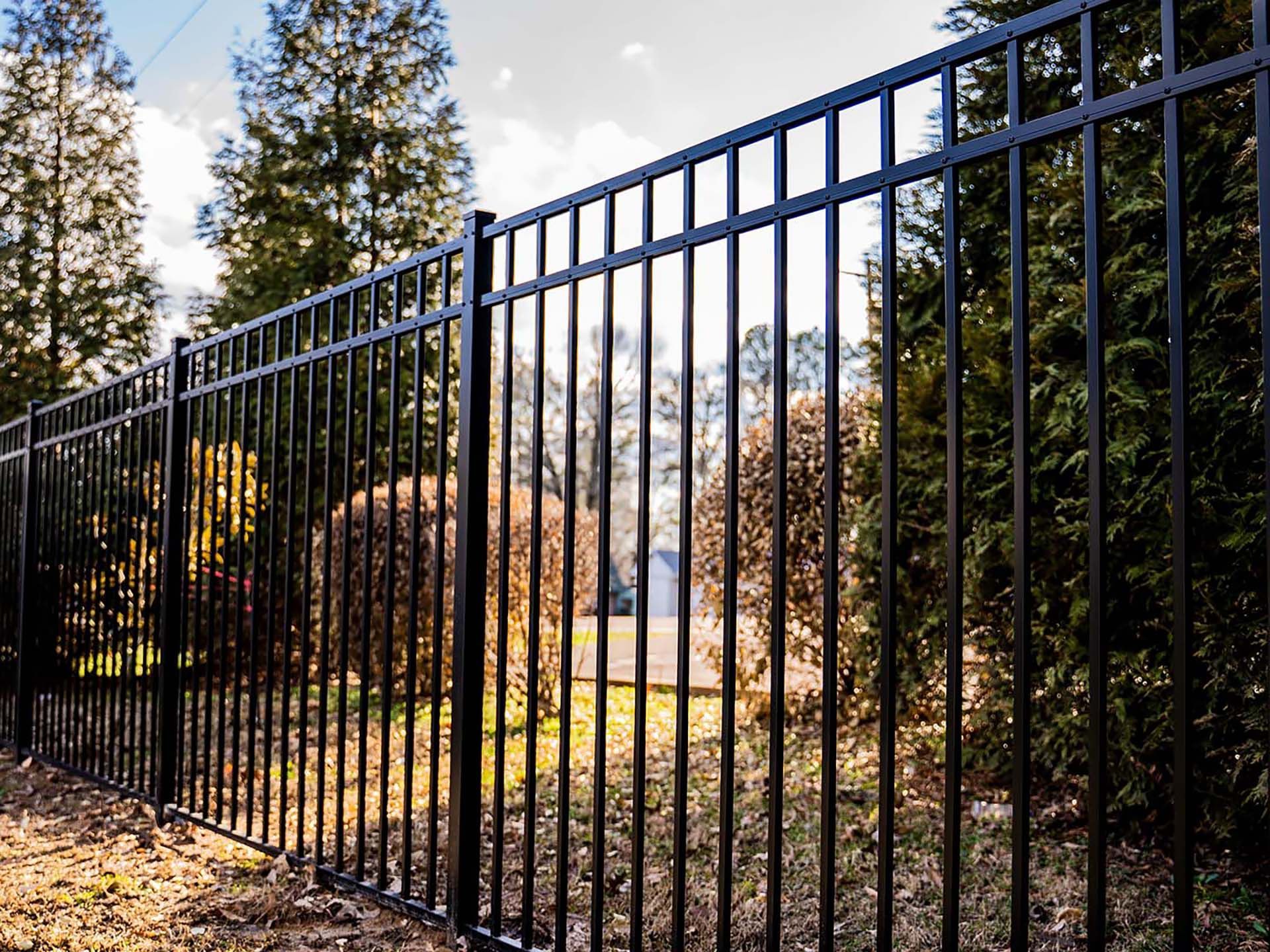 Black metal fence along a wooded path with trees and sunlight beyond