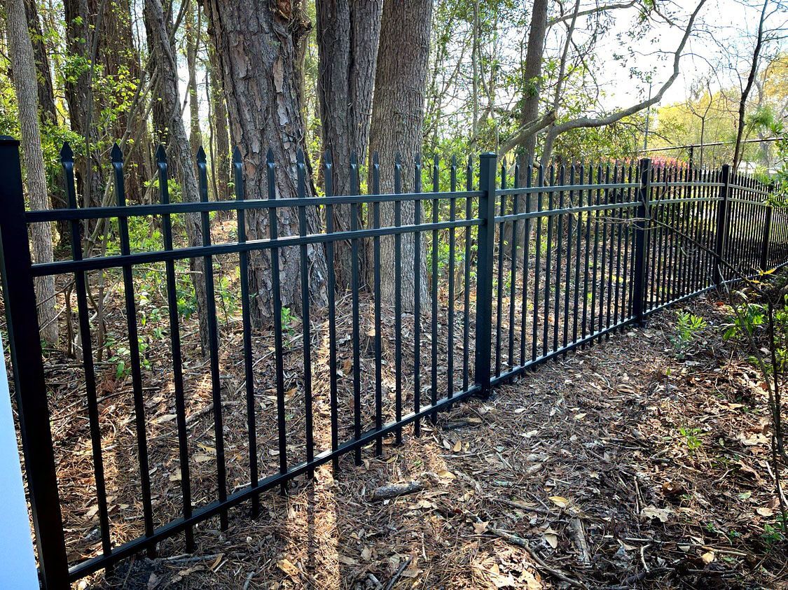 Black metal fence along a wooded path with trees and leaf-covered ground