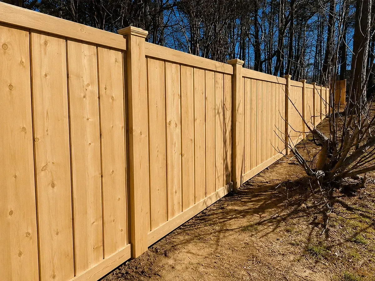 Wooden privacy fence along a dry yard beside leafless trees in sunlight
