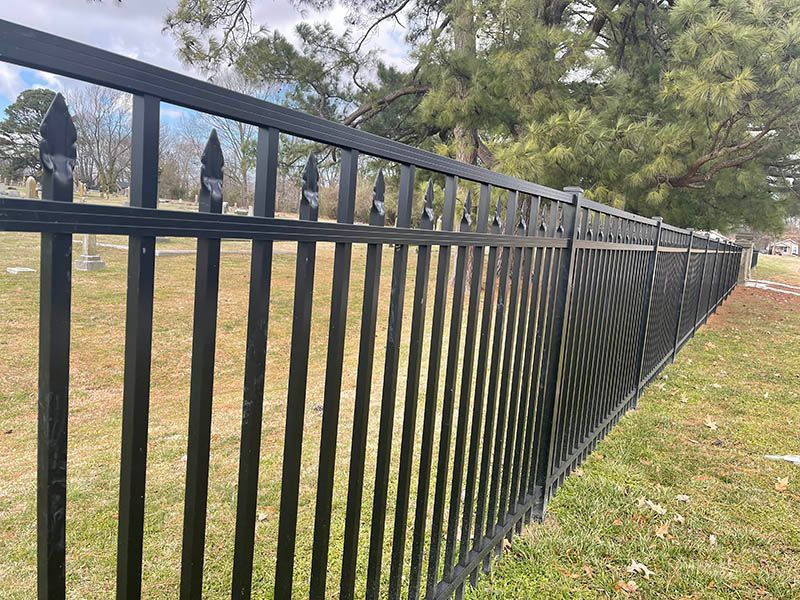 Black metal fence along a grassy yard with trees in the background