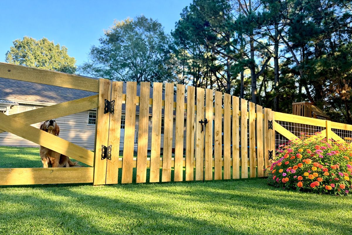 Wooden fence and gate with diagonal braces beside a flower bed on a sunny lawn under trees
