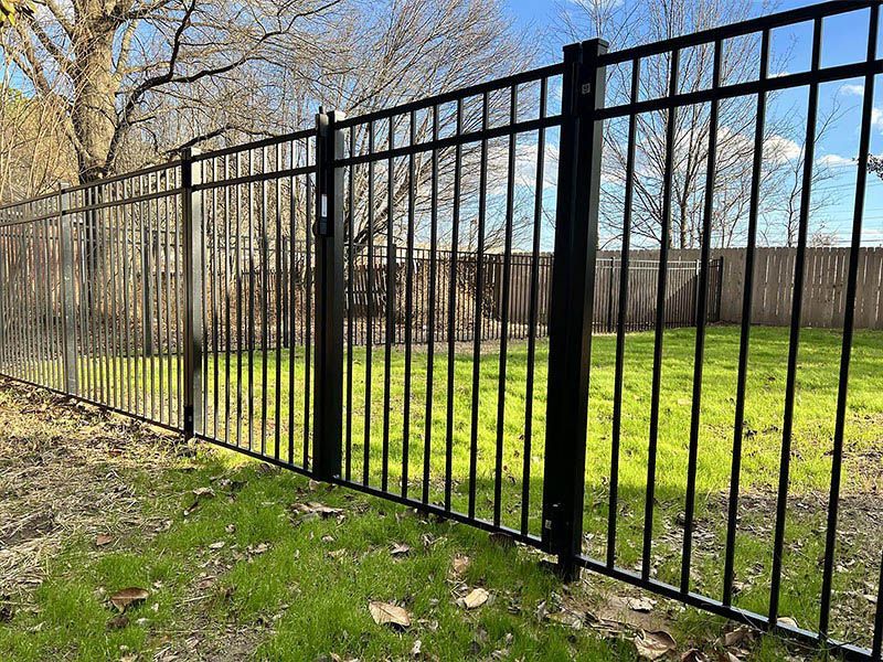 Black metal fence bordering a grassy yard with bare trees and a blue sky