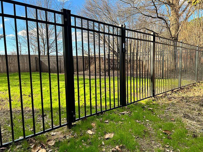 Black metal fence along a grassy yard with bare trees and blue sky