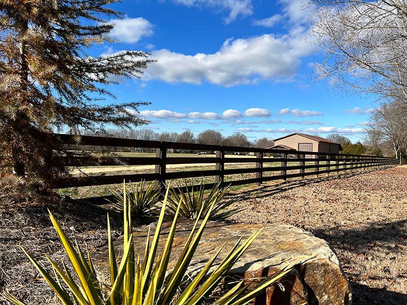 Rural fence line beside a gravel path, with a spiky plant and cloudy blue sky.