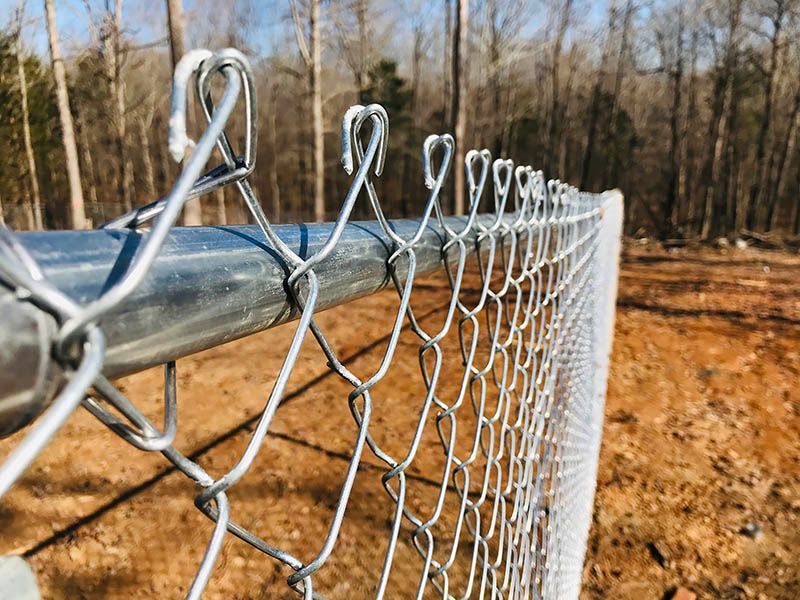 Chain-link fence stretching into the distance along a dirt path in a leafless wooded area