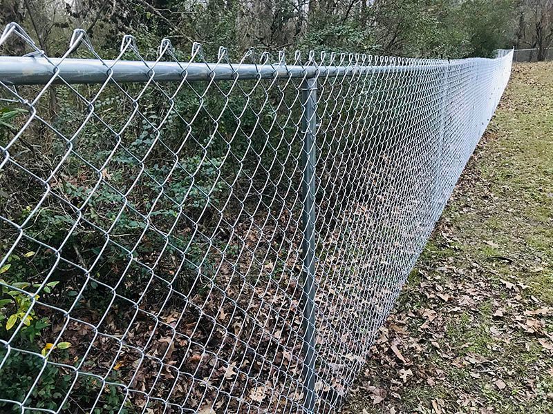 Chain-link fence along a grassy, leaf-strewn slope beside a wooded area
