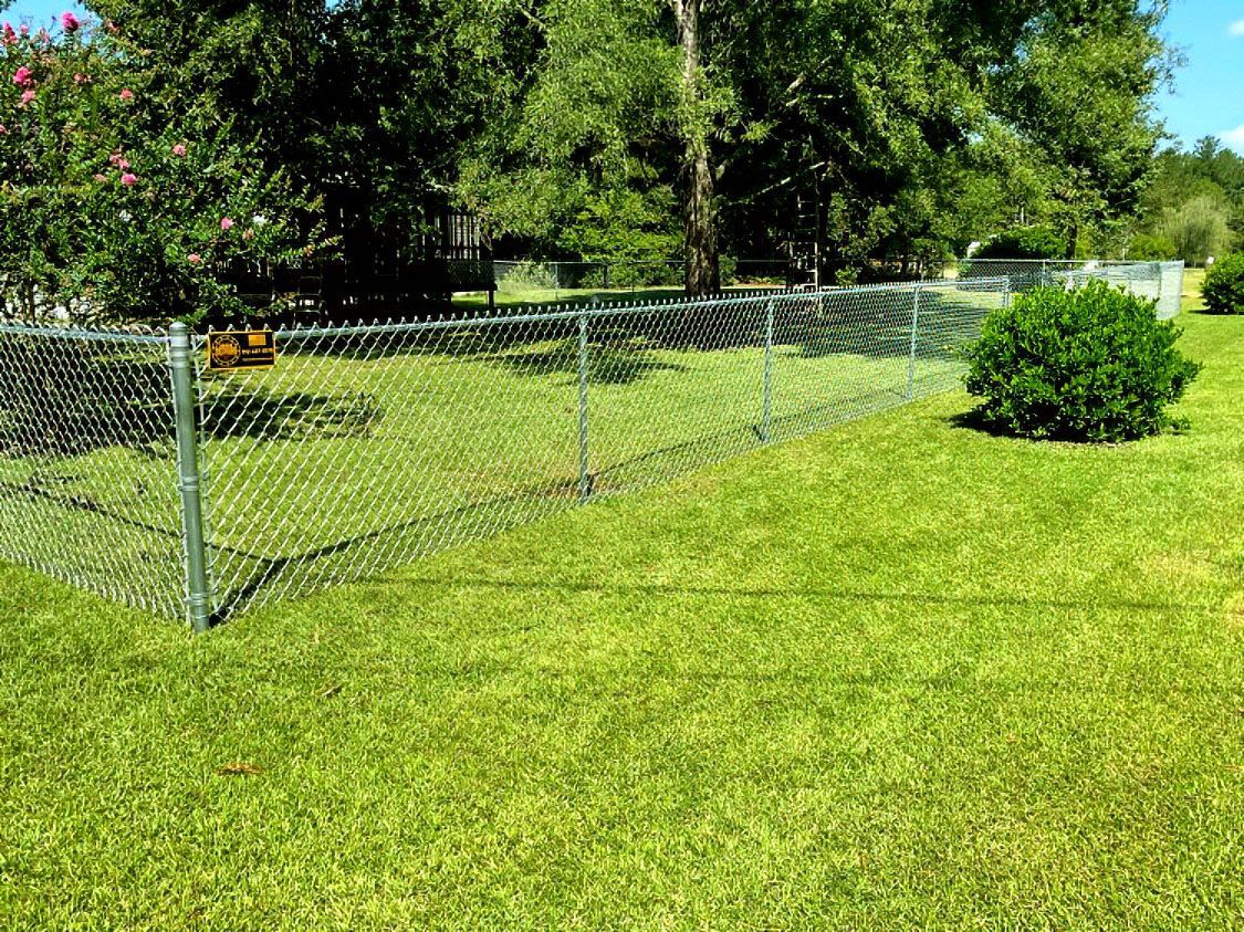 Chain-link fence around a grassy yard with trees and a small bush in bright sunlight