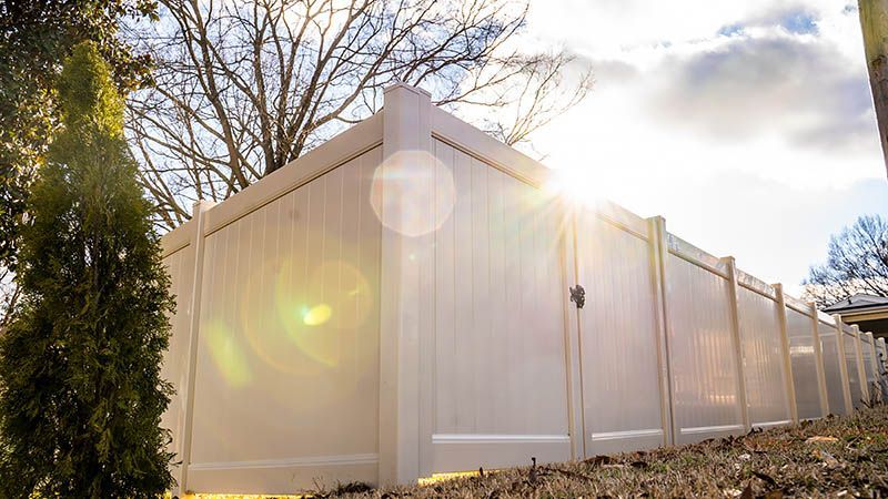 White vinyl privacy fence lining a yard, with sun flare and leafless trees behind it.
