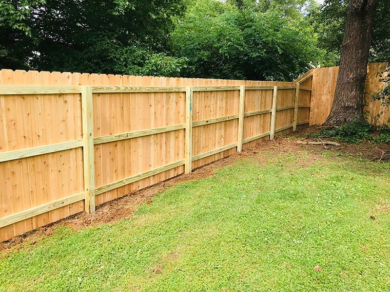 Wooden privacy fence along a grassy backyard with trees and a large trunk on the right