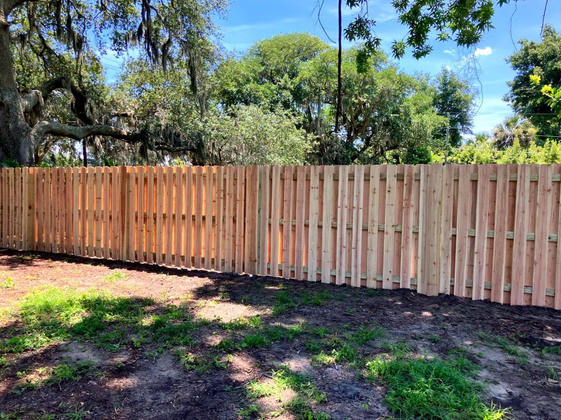 Wooden fence along a shaded dirt yard with trees and blue sky in the background