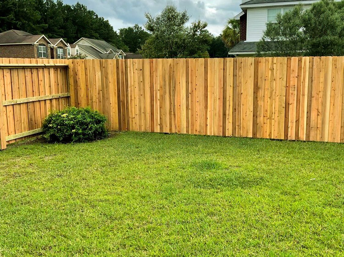 Grassy backyard with a wooden privacy fence and a shrub under cloudy skies