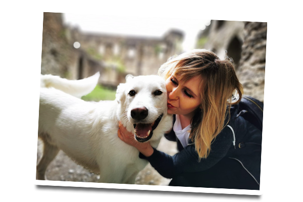Liegeschwielenhund die Gesichter