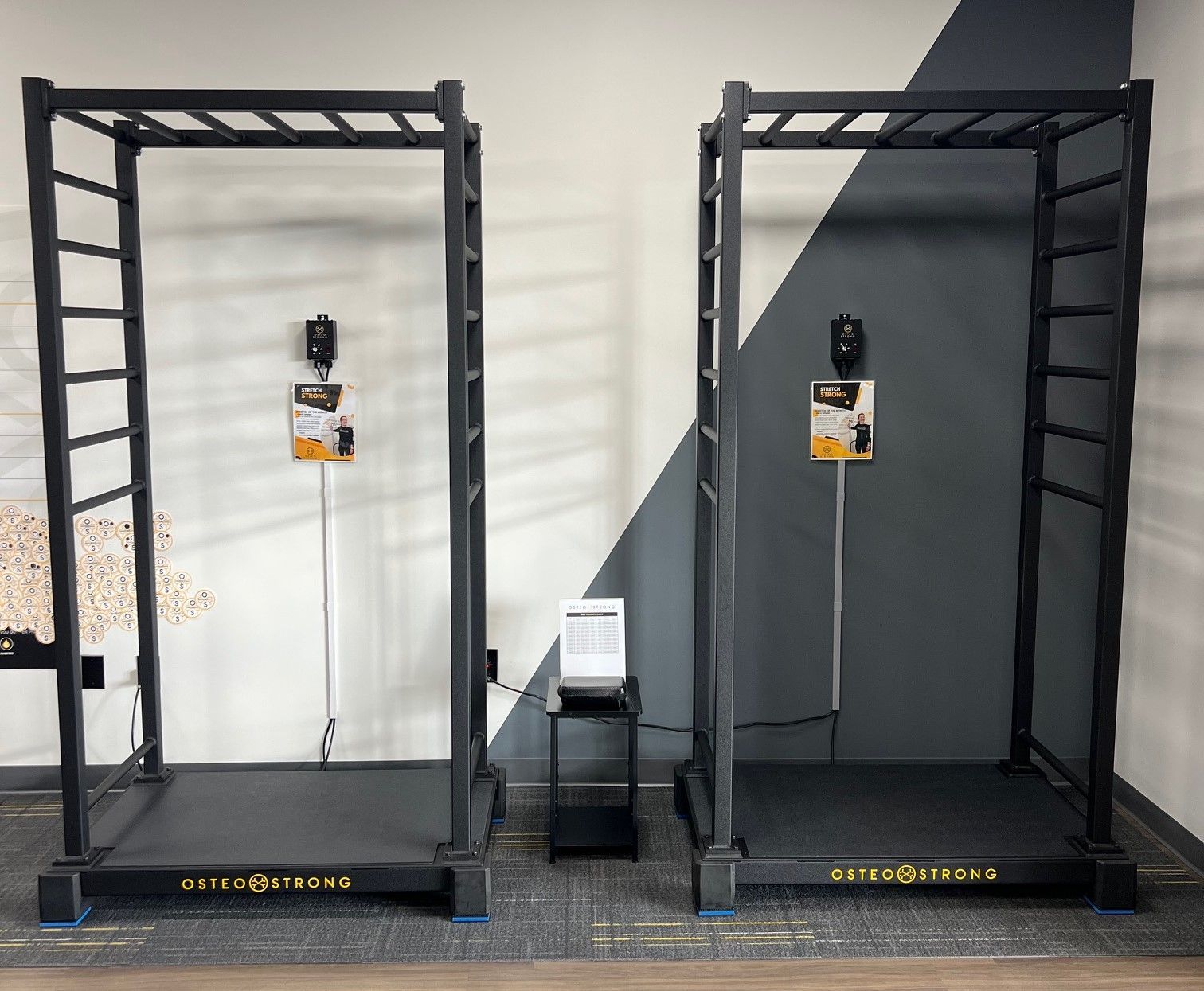members experience full body vibration for warm up, hgh production, and increased balance