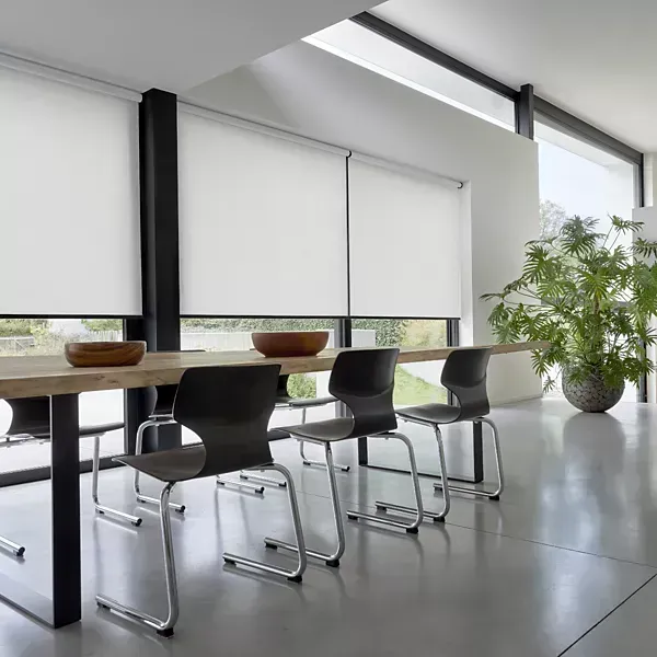 Modern dining room with white blinds, long wooden table, black chairs, and large potted plant.