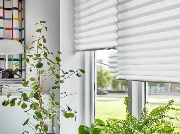 Window with white pleated blinds, plants, and view of a street.